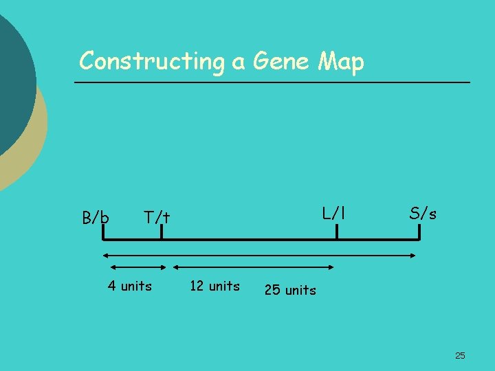 Constructing a Gene Map B/b L/l T/t 4 units 12 units S/s 25 units