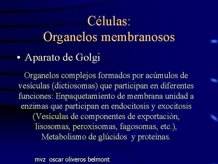 Células: Organelos membranosos • Aparato de Golgi Organelos complejos formados por acúmulos de vesículas