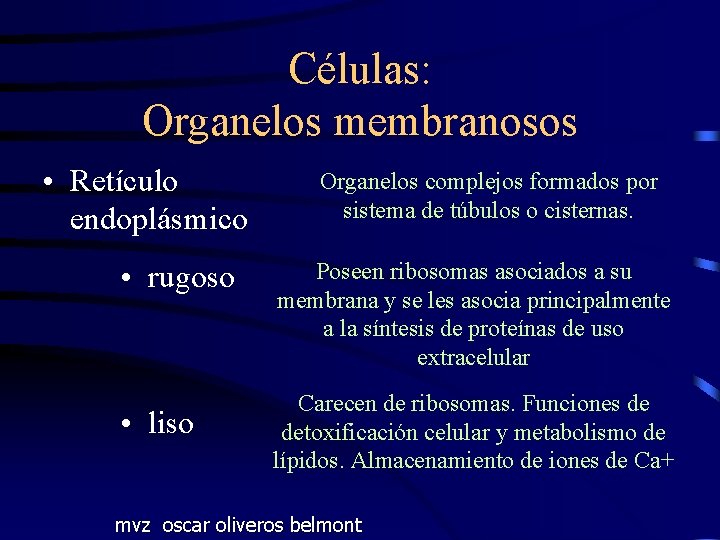 Células: Organelos membranosos • Retículo endoplásmico • rugoso • liso Organelos complejos formados por