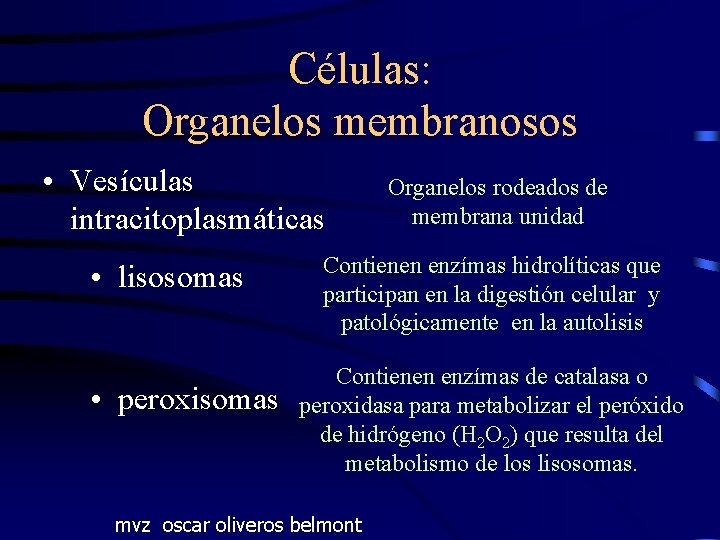 Células: Organelos membranosos • Vesículas intracitoplasmáticas • lisosomas • peroxisomas Organelos rodeados de membrana