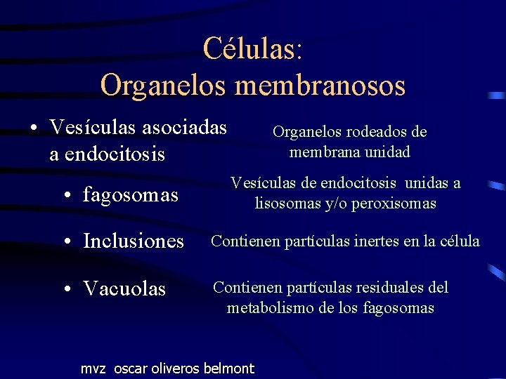 Células: Organelos membranosos • Vesículas asociadas a endocitosis Organelos rodeados de membrana unidad •