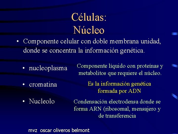 Células: Núcleo • Componente celular con doble membrana unidad, donde se concentra la información