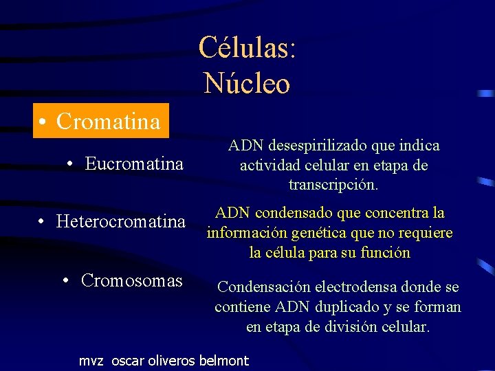 Células: Núcleo • Cromatina • Eucromatina • Heterocromatina • Cromosomas ADN desespirilizado que indica