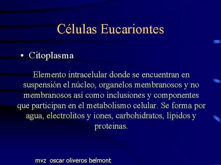 Células Eucariontes • Citoplasma Elemento intracelular donde se encuentran en suspensión el núcleo, organelos