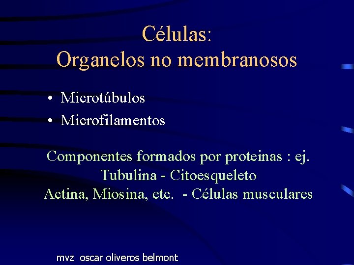 Células: Organelos no membranosos • Microtúbulos • Microfilamentos Componentes formados por proteinas : ej.