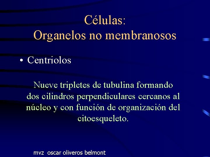 Células: Organelos no membranosos • Centriolos Nueve tripletes de tubulina formando dos cilindros perpendiculares