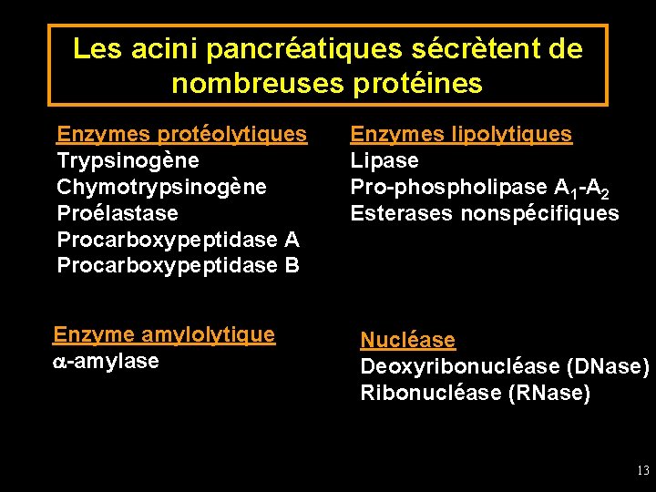 Les acini pancréatiques sécrètent de nombreuses protéines Enzymes protéolytiques Trypsinogène Chymotrypsinogène Proélastase Procarboxypeptidase A