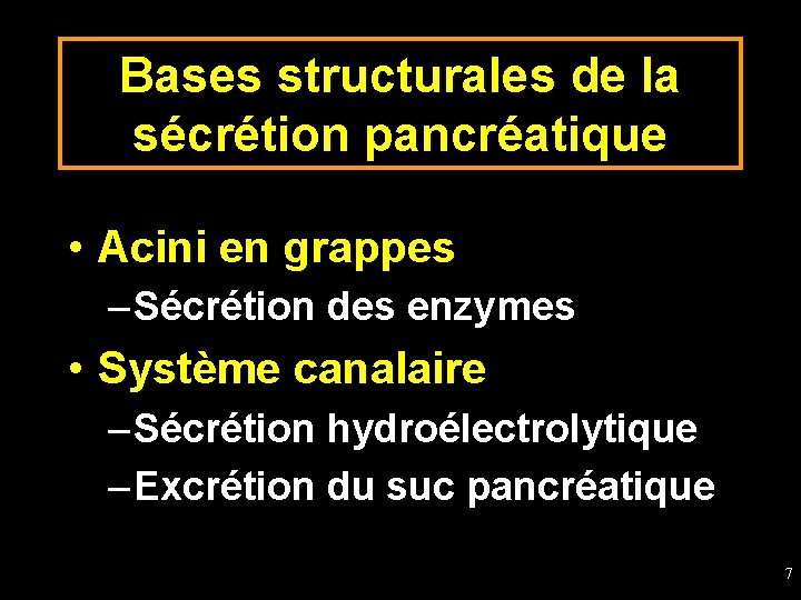 Bases structurales de la sécrétion pancréatique • Acini en grappes – Sécrétion des enzymes