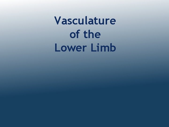 Vasculature of the Lower Limb 