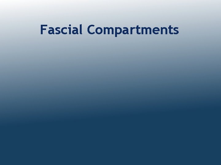Fascial Compartments 