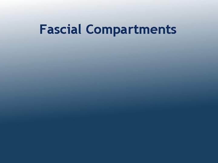 Fascial Compartments 