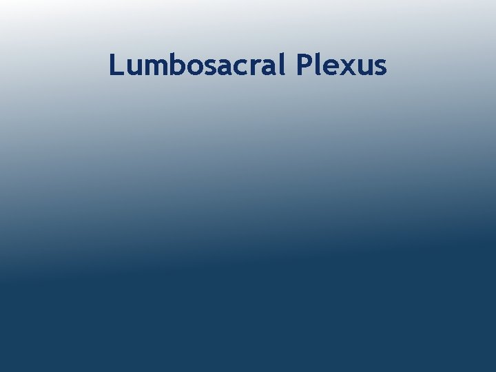 Lumbosacral Plexus 