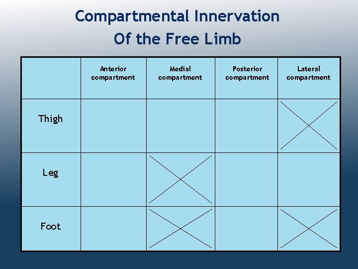 Compartmental Innervation Of the Free Limb Anterior compartment Thigh Leg Foot Medial compartment Posterior