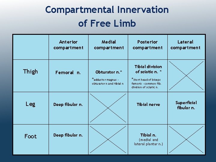 Compartmental Innervation of Free Limb Anterior compartment Thigh Femoral n. Medial compartment Posterior compartment