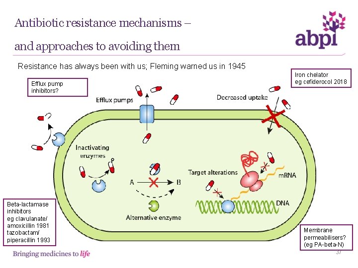 Antibiotic resistance mechanisms – and approaches to avoiding them Resistance has always been with