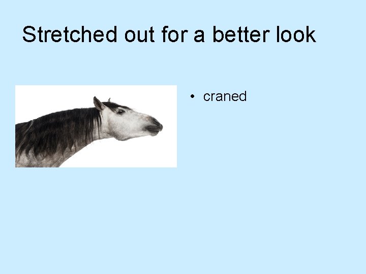 Stretched out for a better look • craned 