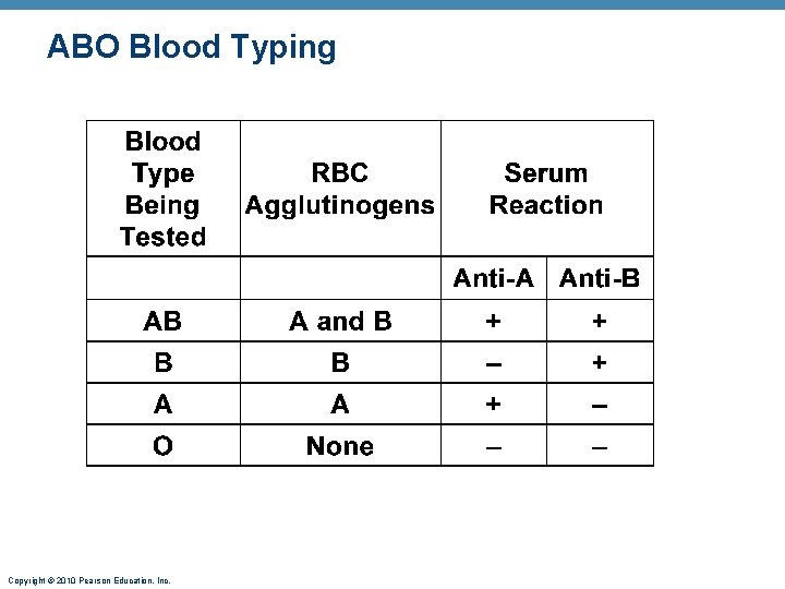 ABO Blood Typing Copyright © 2010 Pearson Education, Inc. 