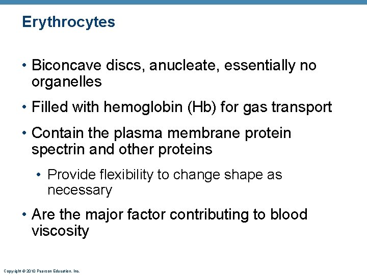 Erythrocytes • Biconcave discs, anucleate, essentially no organelles • Filled with hemoglobin (Hb) for