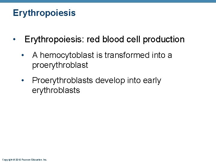 Erythropoiesis • Erythropoiesis: red blood cell production • A hemocytoblast is transformed into a
