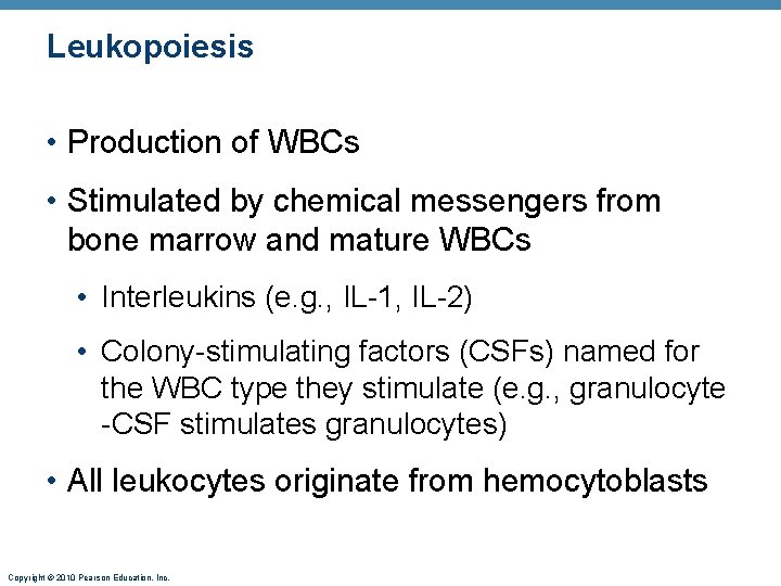 Leukopoiesis • Production of WBCs • Stimulated by chemical messengers from bone marrow and