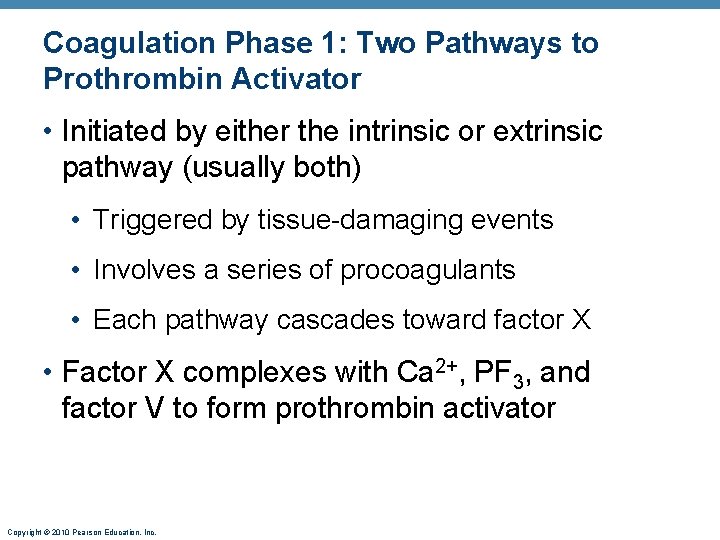 Coagulation Phase 1: Two Pathways to Prothrombin Activator • Initiated by either the intrinsic