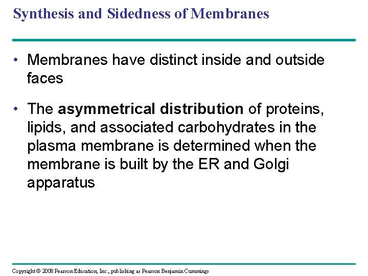 Synthesis and Sidedness of Membranes • Membranes have distinct inside and outside faces •