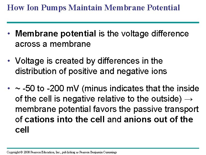 How Ion Pumps Maintain Membrane Potential • Membrane potential is the voltage difference across