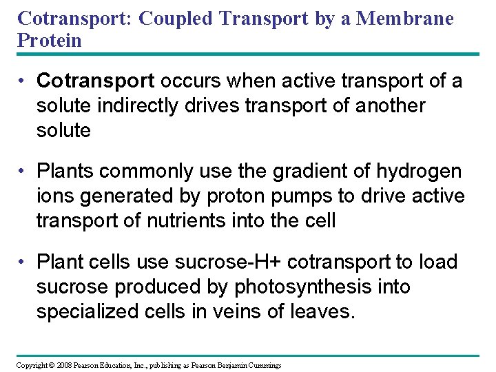 Cotransport: Coupled Transport by a Membrane Protein • Cotransport occurs when active transport of