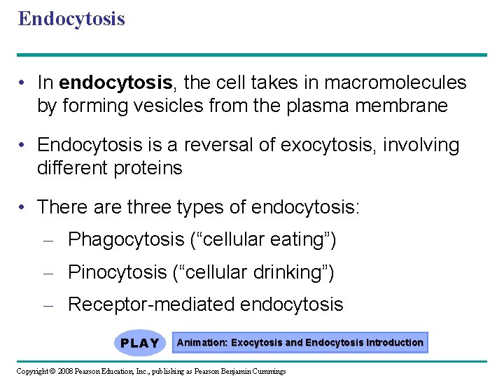 Endocytosis • In endocytosis, the cell takes in macromolecules by forming vesicles from the