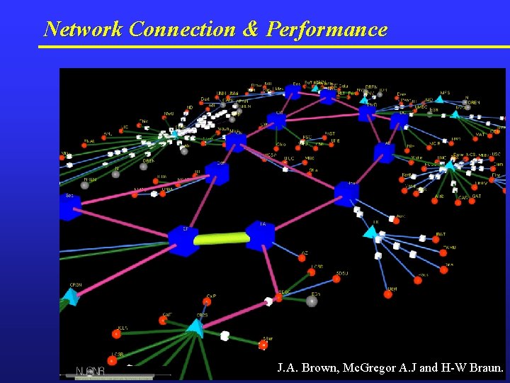 Network Connection & Performance J. A. Brown, Mc. Gregor A. J and H-W Braun.