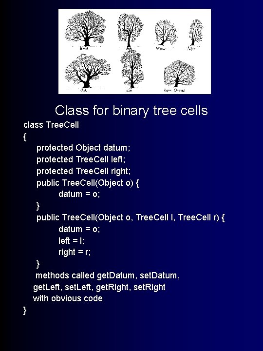 Trees! Class for binary tree cells class Tree. Cell { protected Object datum; protected