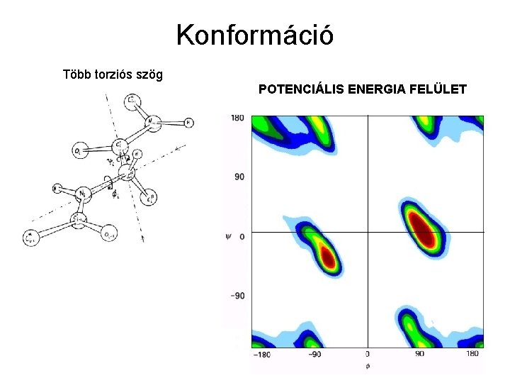 Konformáció Több torziós szög POTENCIÁLIS ENERGIA FELÜLET 