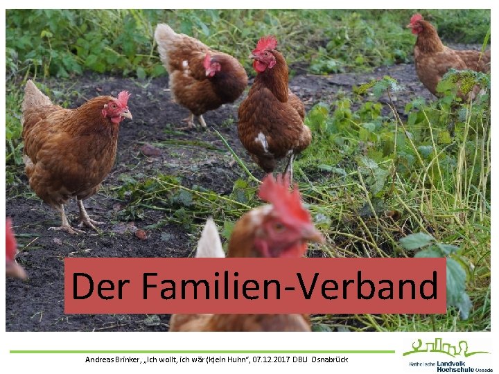 Der Familien-Verband Andreas Brinker, „Ich wollt, ich wär (k)ein Huhn“, 07. 12. 2017 DBU