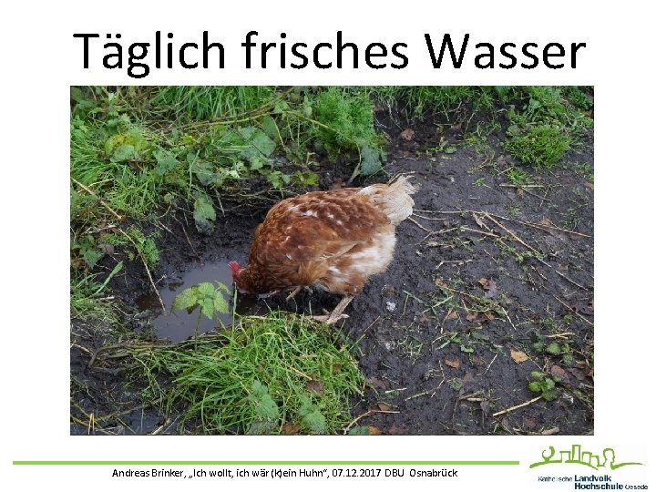 Täglich frisches Wasser Andreas Brinker, „Ich wollt, ich wär (k)ein Huhn“, 07. 12. 2017