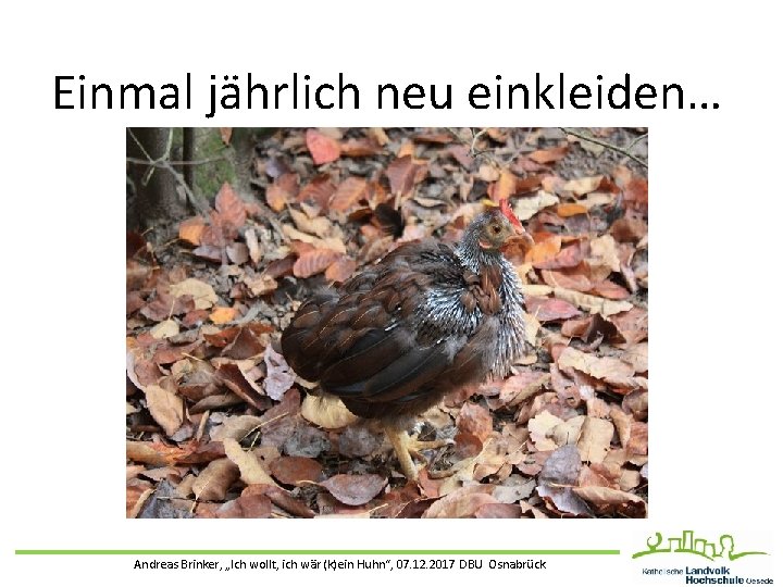 Einmal jährlich neu einkleiden… Andreas Brinker, „Ich wollt, ich wär (k)ein Huhn“, 07. 12.