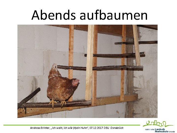 Abends aufbaumen Andreas Brinker, „Ich wollt, ich wär (k)ein Huhn“, 07. 12. 2017 DBU