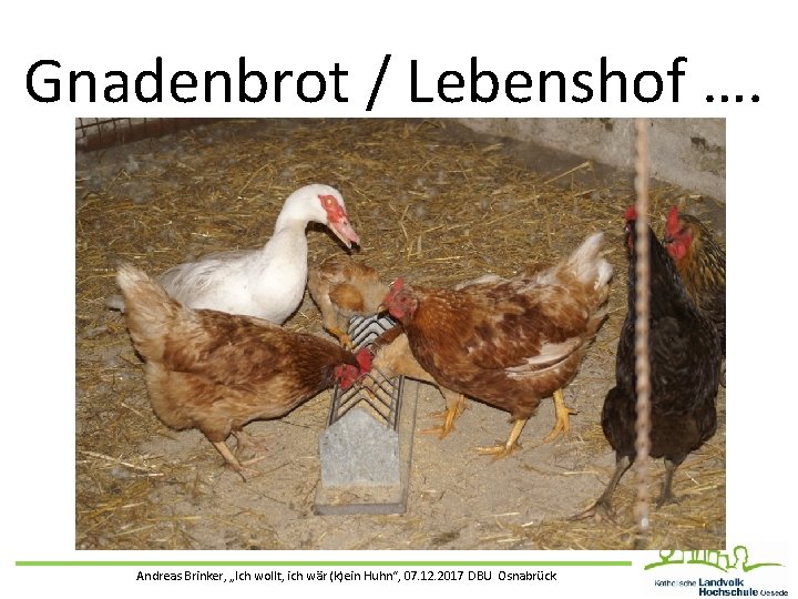 Gnadenbrot / Lebenshof …. Andreas Brinker, „Ich wollt, ich wär (k)ein Huhn“, 07. 12.