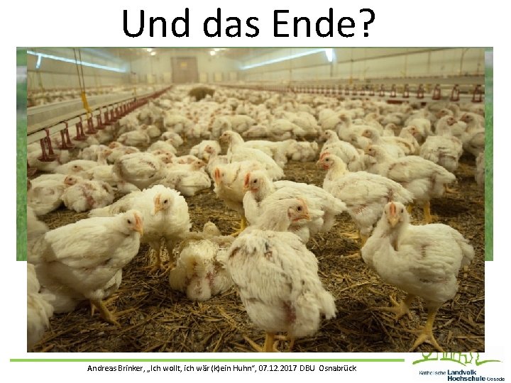 Und das Ende? Andreas Brinker, „Ich wollt, ich wär (k)ein Huhn“, 07. 12. 2017