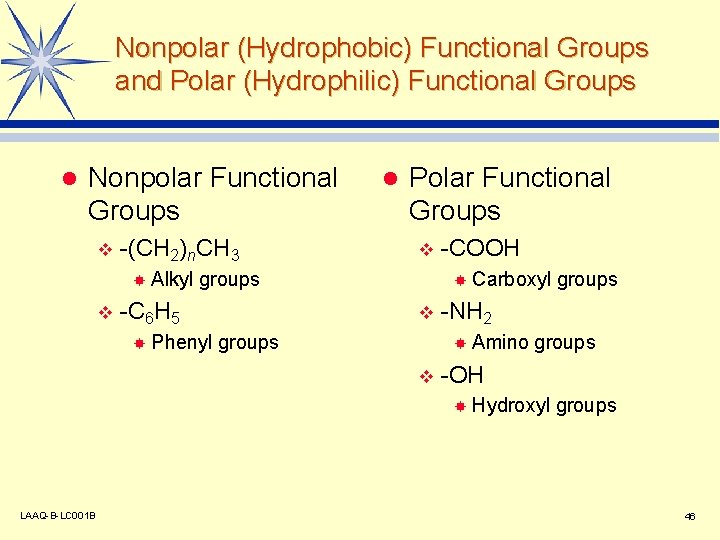 Nonpolar (Hydrophobic) Functional Groups and Polar (Hydrophilic) Functional Groups l Nonpolar Functional Groups v