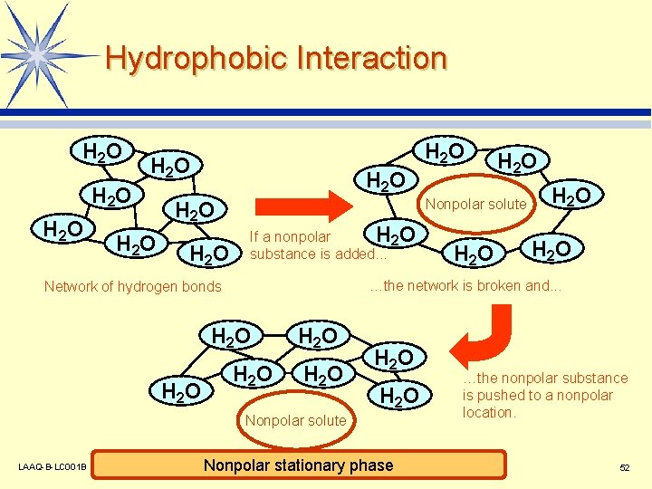 Hydrophobic Interaction H 2 O H 2 O H 2 O Nonpolar solute If