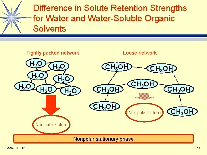 Difference in Solute Retention Strengths for Water and Water-Soluble Organic Solvents Tightly packed network