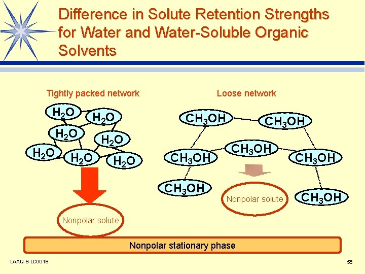 Difference in Solute Retention Strengths for Water and Water-Soluble Organic Solvents Tightly packed network