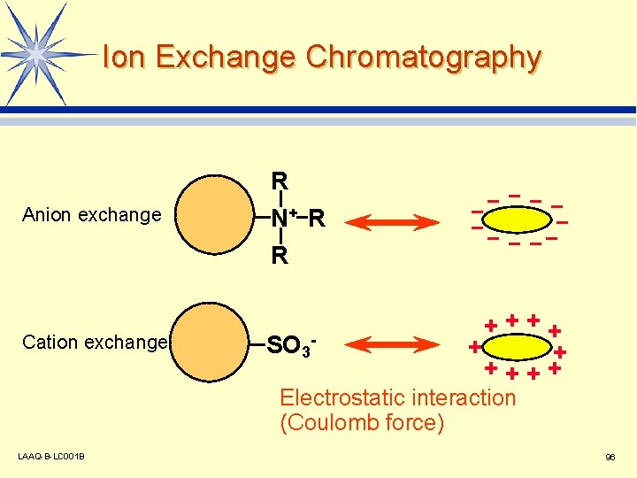 Ion Exchange Chromatography Anion exchange Cation exchange R N+ R R SO 3 -