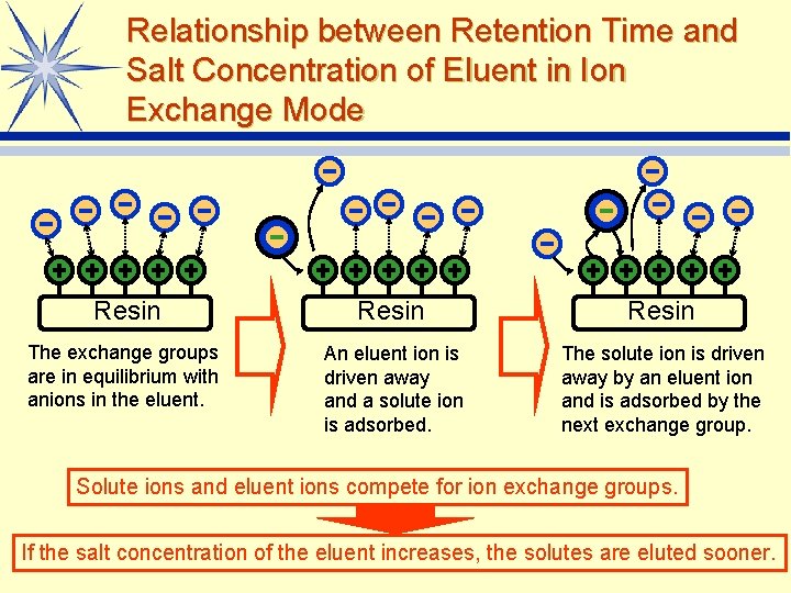 Relationship between Retention Time and Salt Concentration of Eluent in Ion Exchange Mode Resin