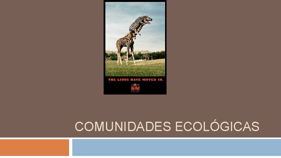 COMUNIDADES ECOLÓGICAS 