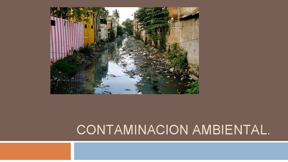 CONTAMINACION AMBIENTAL. 