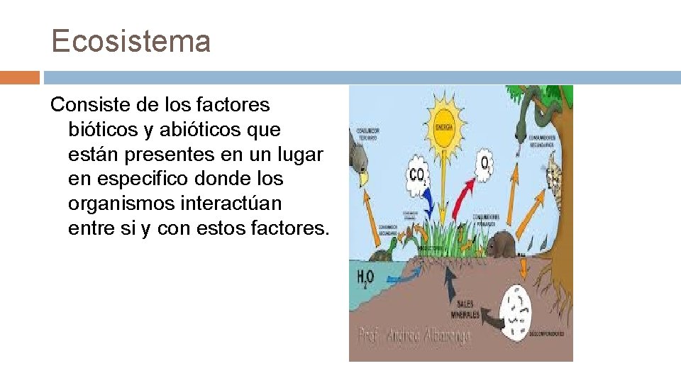 Ecosistema Consiste de los factores bióticos y abióticos que están presentes en un lugar