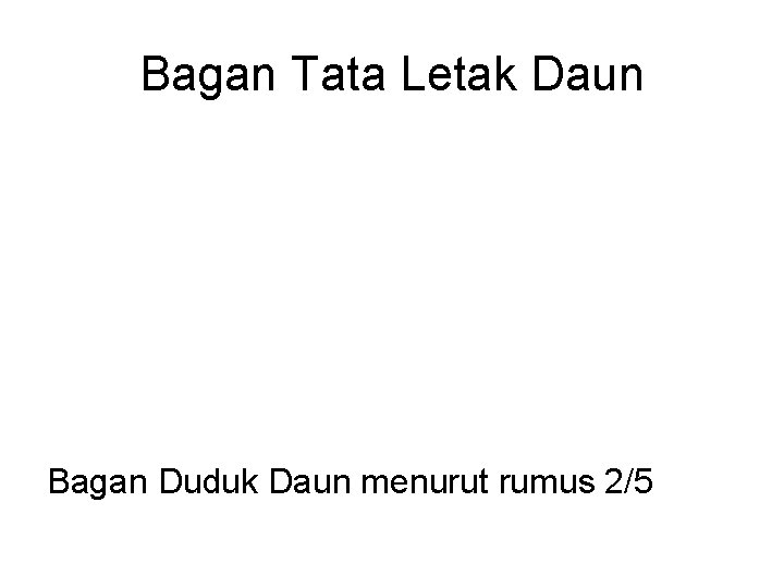 Bagan Tata Letak Daun Bagan Duduk Daun menurut rumus 2/5 