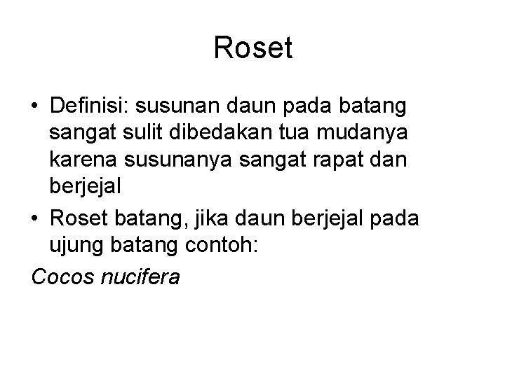 Roset • Definisi: susunan daun pada batang sangat sulit dibedakan tua mudanya karena susunanya