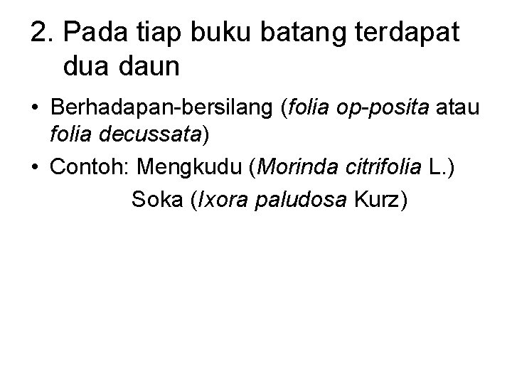 2. Pada tiap buku batang terdapat dua daun • Berhadapan-bersilang (folia op-posita atau folia